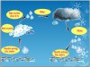 vòng tuần hoàn của nước