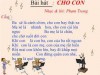 Cho con