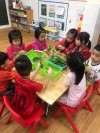 Trẻ học cách nhặt rau mồng tơi