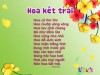 Hoa kết trái