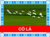 Cò lả