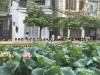 Ra chơi vườn hoa