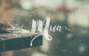 Mưa rơi