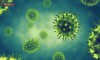 Virus cúm A là virus RNA có tám đoạn gen
