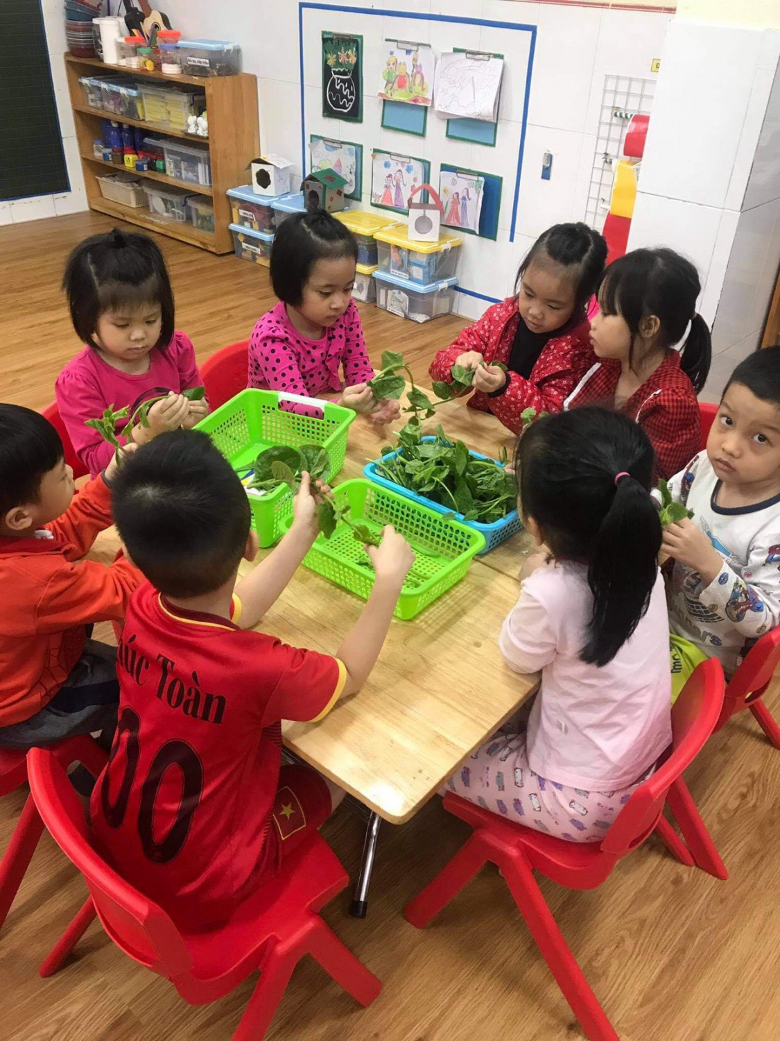 Trẻ học cách nhặt rau mồng tơi