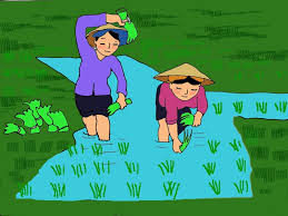 Đi cấy