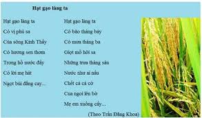 Hạt gạo làng ta