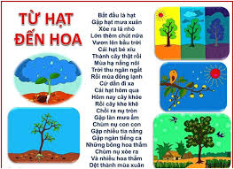 Từ hạt đến hoa