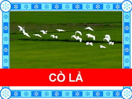 Cò lả