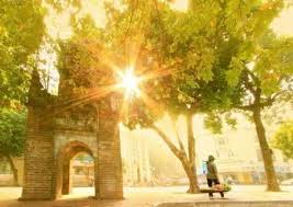 Nắng sớm