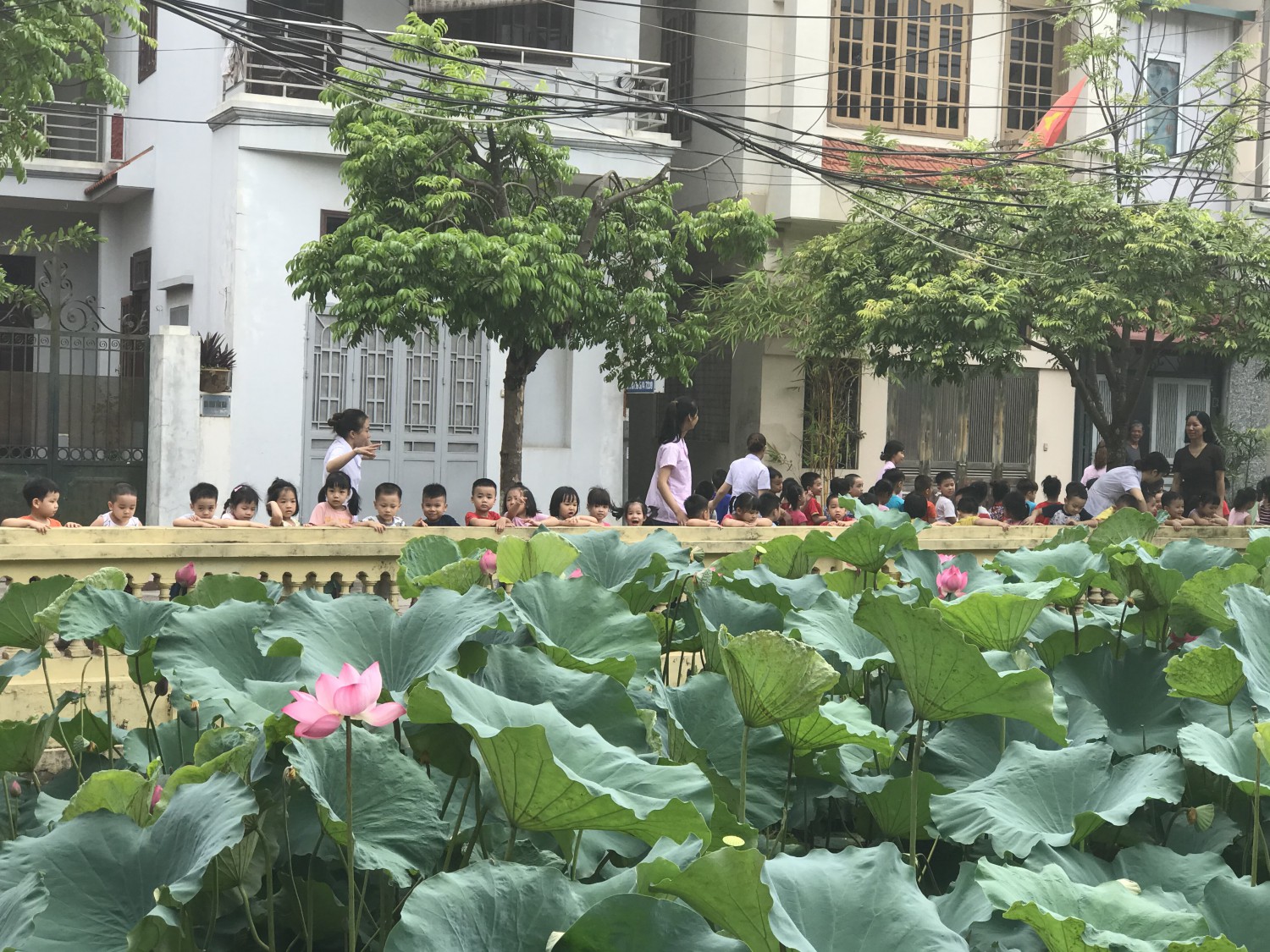 Ra chơi vườn hoa