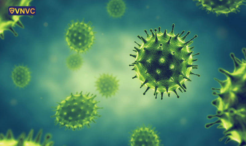 Virus cúm A là virus RNA có tám đoạn gen