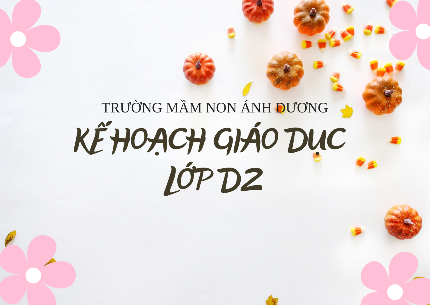 KẾ HOẠCH GIÁO DỤC  D2